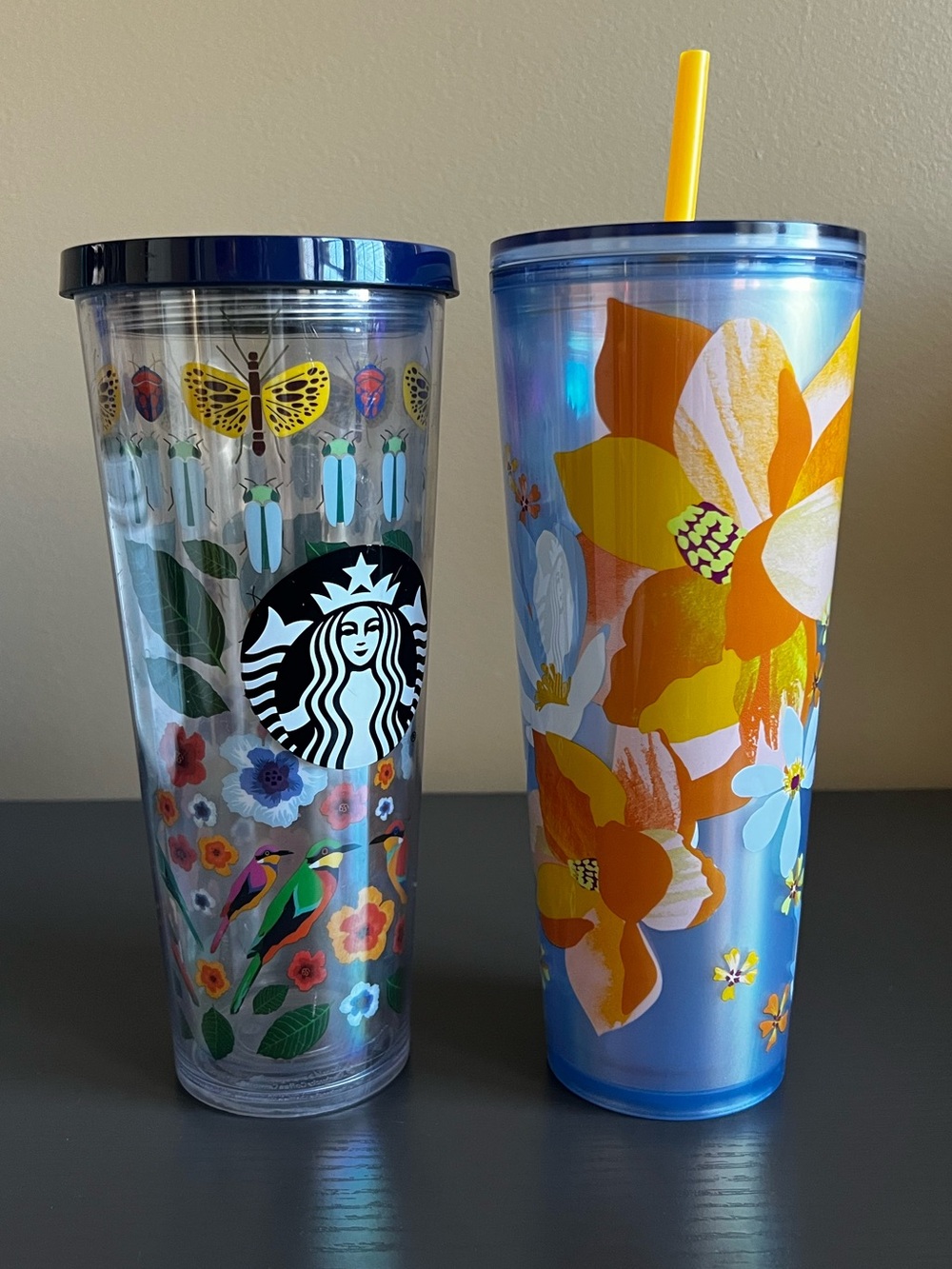 Starbucks Venti 24oz Tumbler Lot (2017 Birds & 2024 Blue Floral)